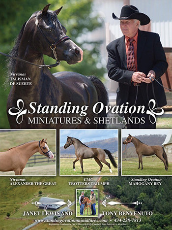 standing_ovations008001.jpg